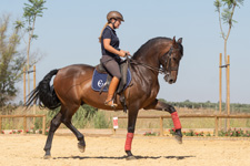 Spain-Southern Spain-Classical Dressage Clinic - in Southern Spain